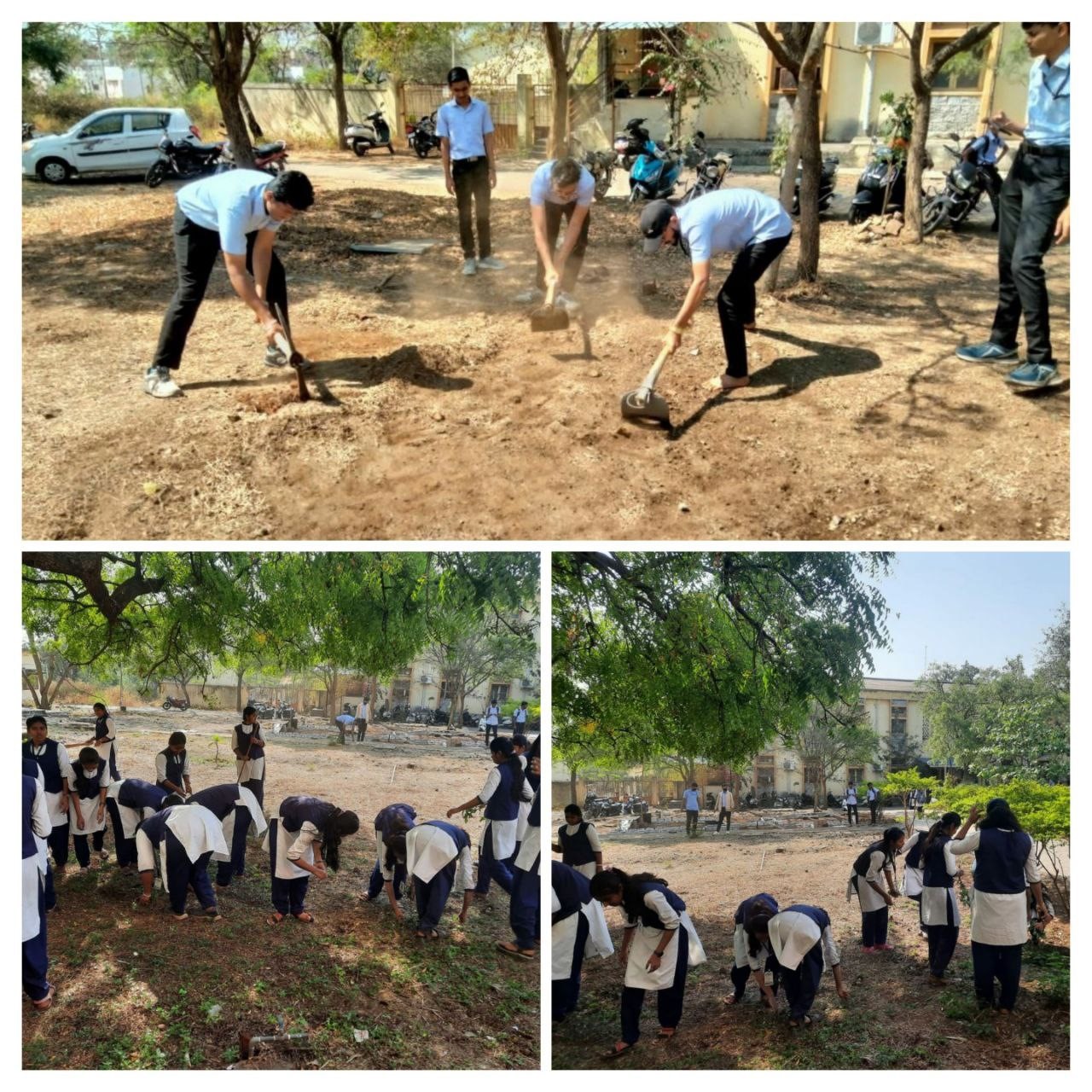 Cleanliness Drive